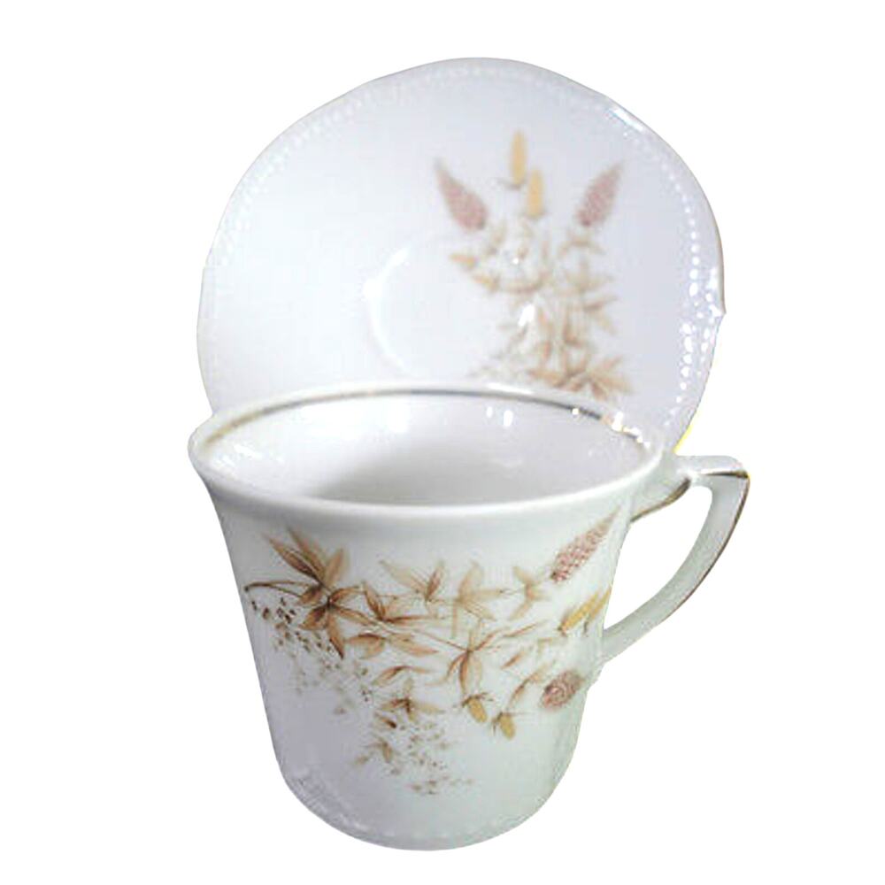 Winterling Coffee Cup Saucer Set Bavarian China Tea Schwarzenbach Wheat Germany